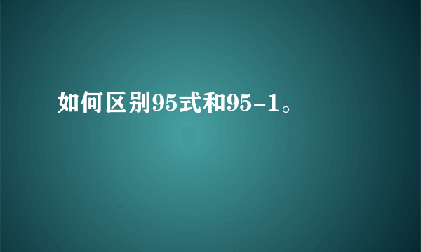 如何区别95式和95-1。