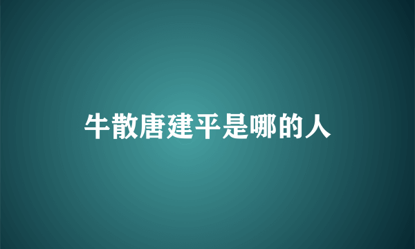 牛散唐建平是哪的人