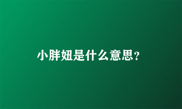 小胖妞是什么意思？