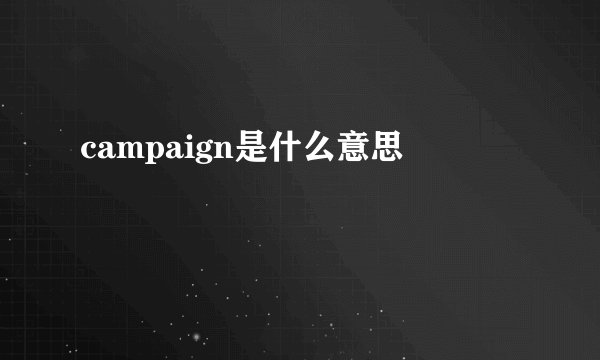 campaign是什么意思