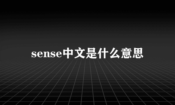 sense中文是什么意思