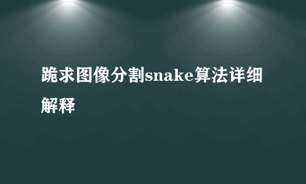 跪求图像分割snake算法详细解释