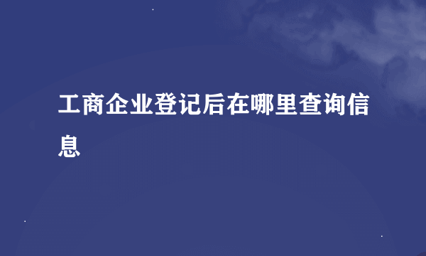 工商企业登记后在哪里查询信息