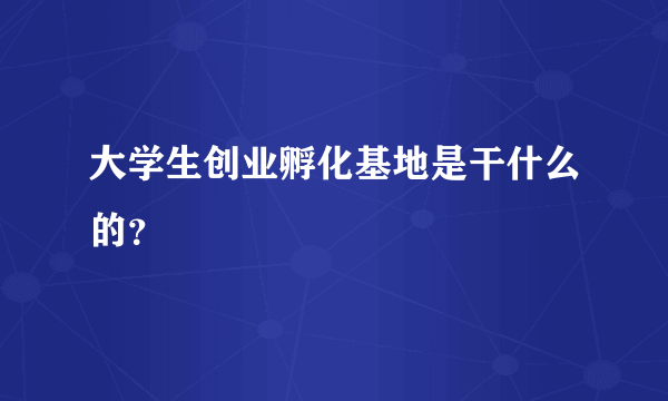 大学生创业孵化基地是干什么的？