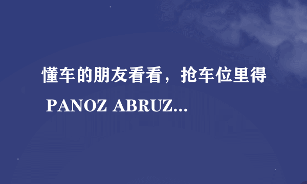 懂车的朋友看看，抢车位里得 PANOZ ABRUZZI是什么车啊