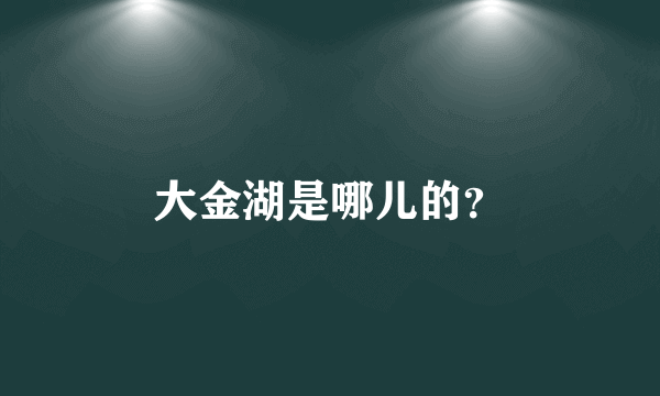 大金湖是哪儿的？