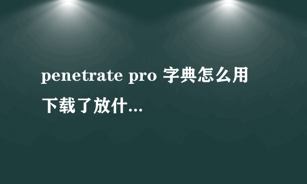 penetrate pro 字典怎么用 下载了放什么地方？