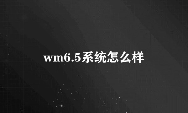 wm6.5系统怎么样