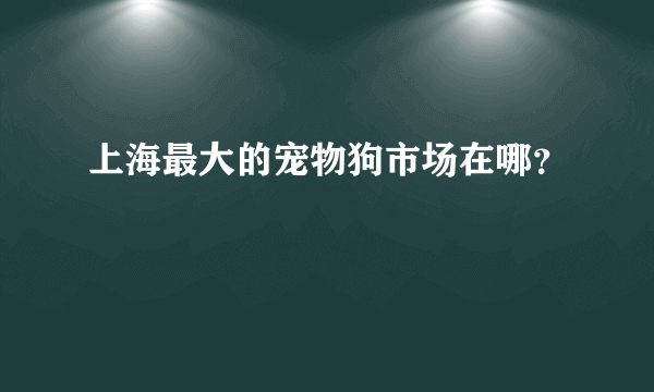 上海最大的宠物狗市场在哪？