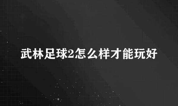 武林足球2怎么样才能玩好