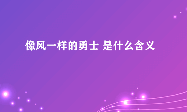 像风一样的勇士 是什么含义