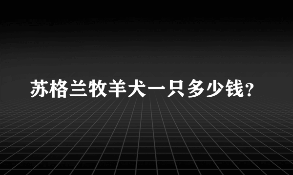 苏格兰牧羊犬一只多少钱？