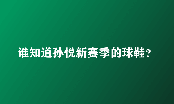 谁知道孙悦新赛季的球鞋？