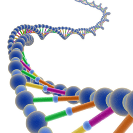 什么是DNA?