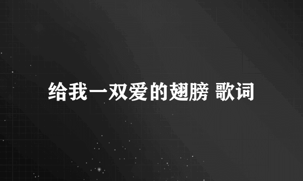 给我一双爱的翅膀 歌词