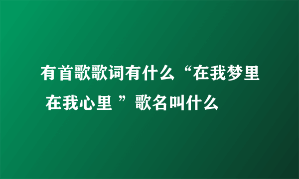 有首歌歌词有什么“在我梦里 在我心里 ”歌名叫什么