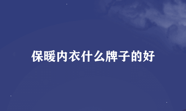 保暖内衣什么牌子的好