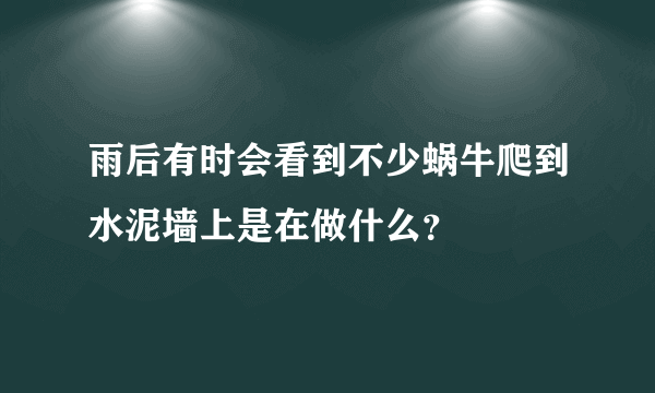 雨后有时会看到不少蜗牛爬到水泥墙上是在做什么？