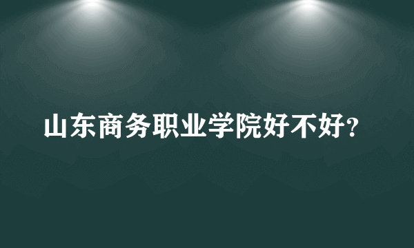 山东商务职业学院好不好？