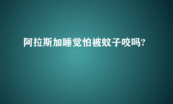 阿拉斯加睡觉怕被蚊子咬吗?