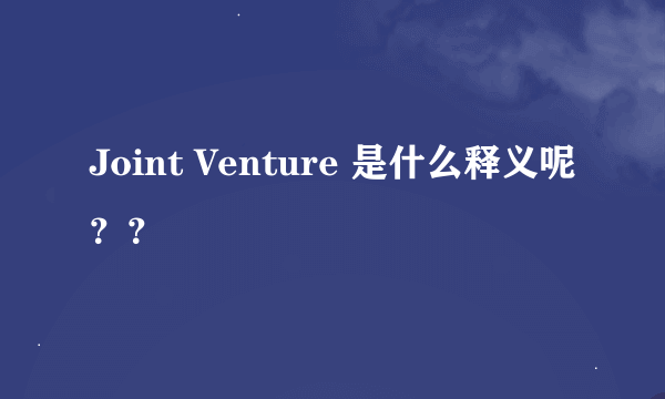 Joint Venture 是什么释义呢？？