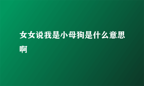 女女说我是小母狗是什么意思啊