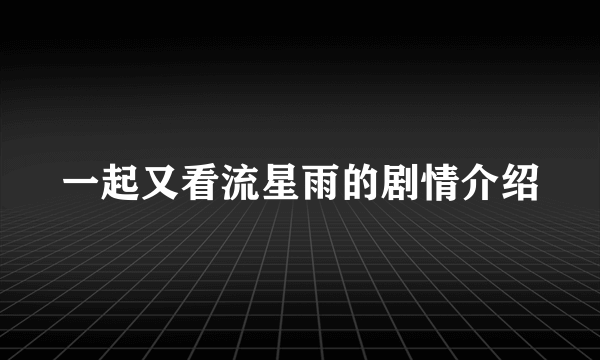 一起又看流星雨的剧情介绍