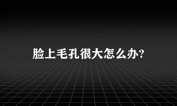 脸上毛孔很大怎么办?