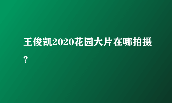 王俊凯2020花园大片在哪拍摄？