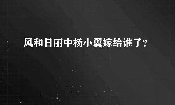 风和日丽中杨小翼嫁给谁了？