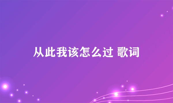 从此我该怎么过 歌词