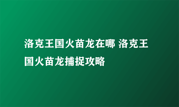 洛克王国火苗龙在哪 洛克王国火苗龙捕捉攻略