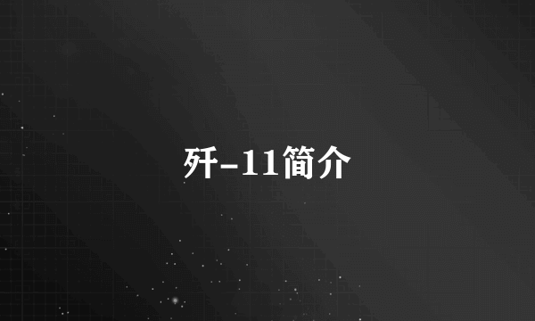 歼-11简介