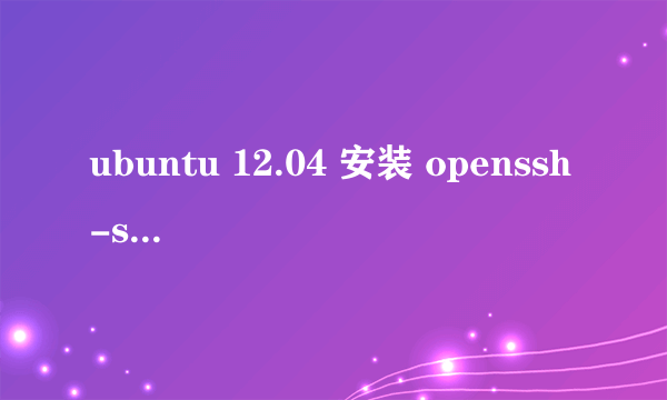 ubuntu 12.04 安装 openssh-server 失败，请问怎么该弄