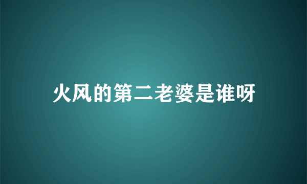 火风的第二老婆是谁呀