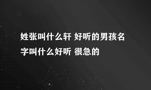 姓张叫什么轩 好听的男孩名字叫什么好听 很急的