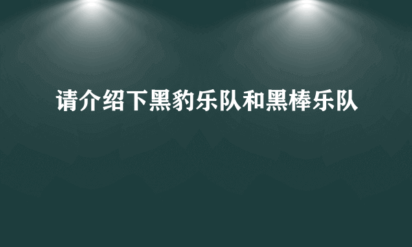 请介绍下黑豹乐队和黑棒乐队