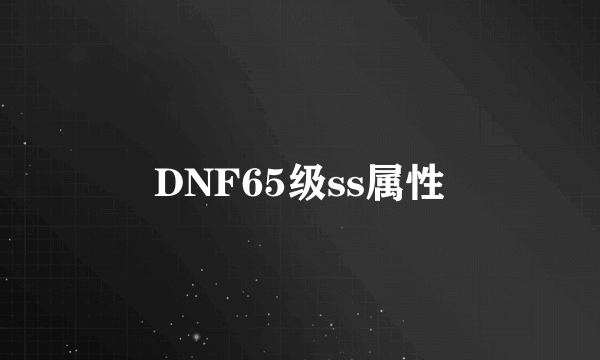 DNF65级ss属性