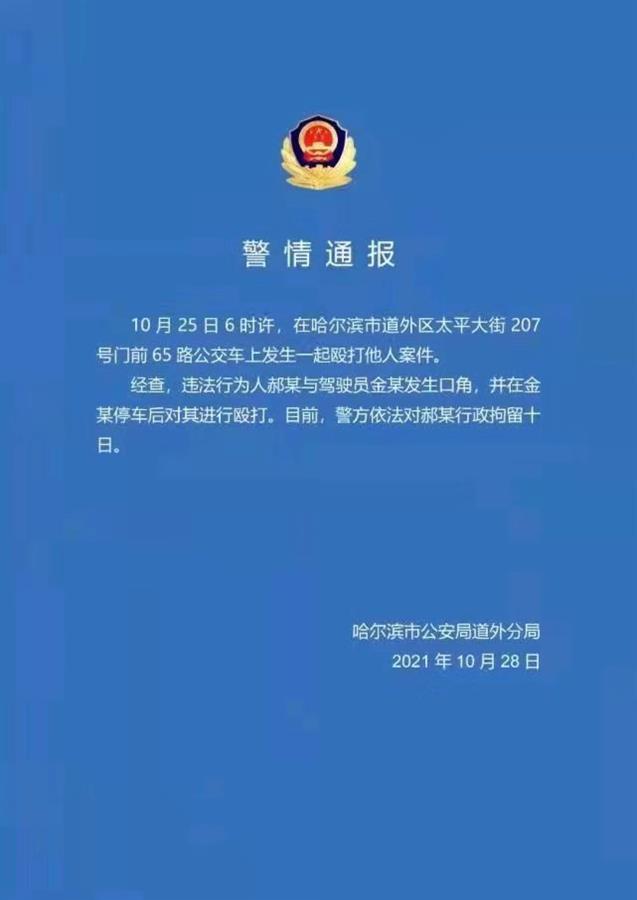 哈尔滨老人砸晕司机被拘十日，你觉得这个处罚合理吗？