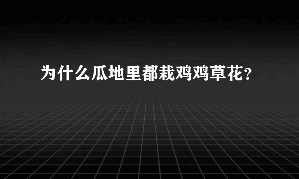 为什么瓜地里都栽鸡鸡草花？