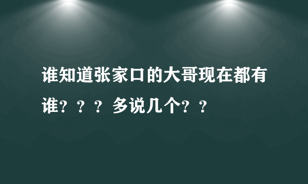 谁知道张家口的大哥现在都有谁？？？多说几个？？