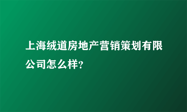 上海绒道房地产营销策划有限公司怎么样？