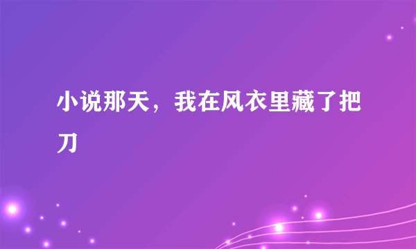 小说那天，我在风衣里藏了把刀