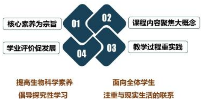 新课改的核心理念是什么？