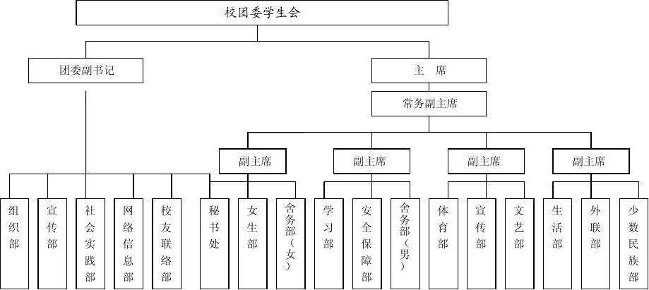 在大学里，学生会可以举办什么特色活动。