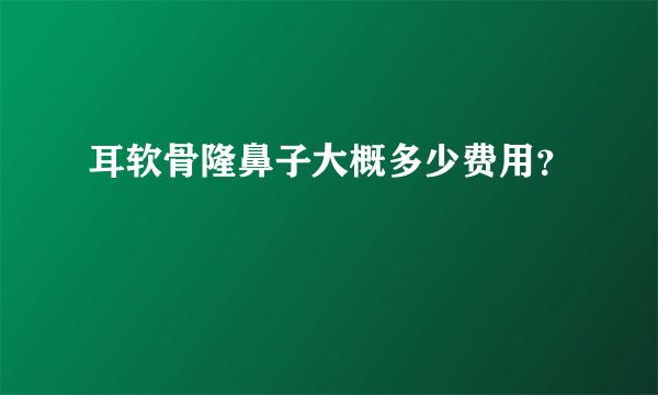 耳软骨隆鼻子大概多少费用？