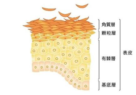 电波拉皮有没有副作用？