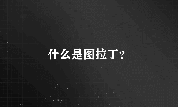 什么是图拉丁？