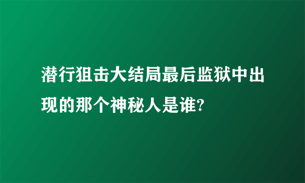 潜行狙击大结局最后监狱中出现的那个神秘人是谁?