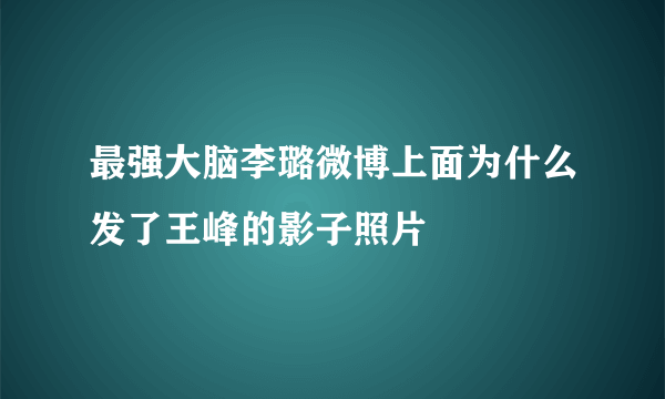 最强大脑李璐微博上面为什么发了王峰的影子照片